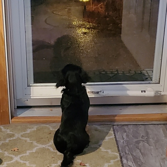 Meet your Posher, Fred - Picture 1 of 1